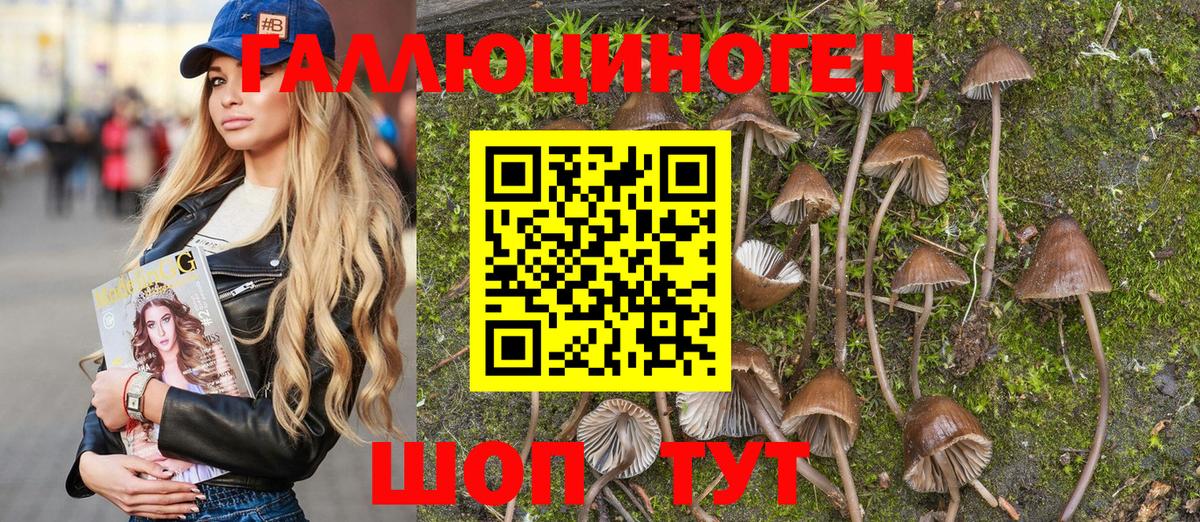 Галлюциногенные грибы MAGIC MUSHROOMS  Вход с VPN  Псилоцибиновые грибы Psilocybine cubensis  Алушта 